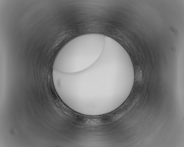 X0000113300599200910051044