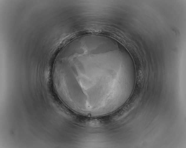 X0000113300600200910051044