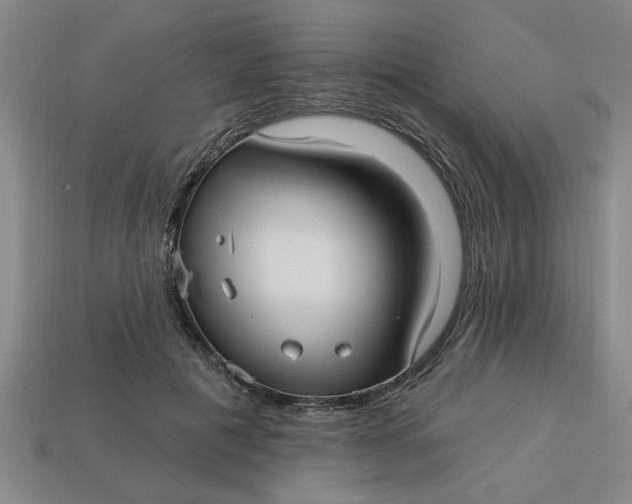 X0000113300601200910051044