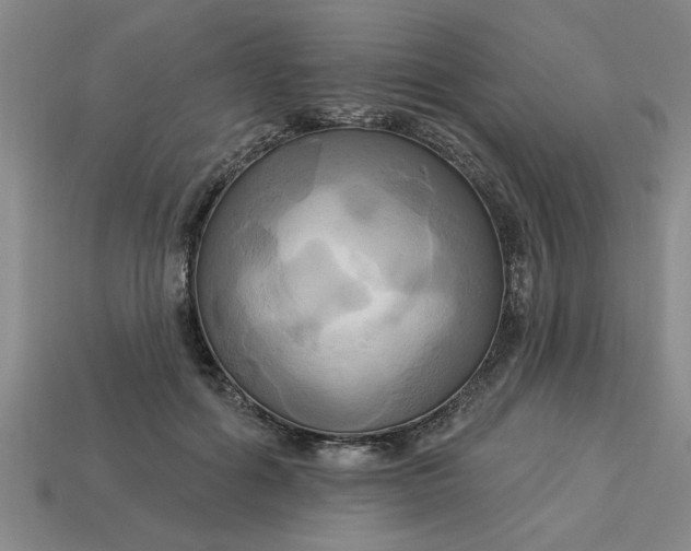 X0000113300602200910051044