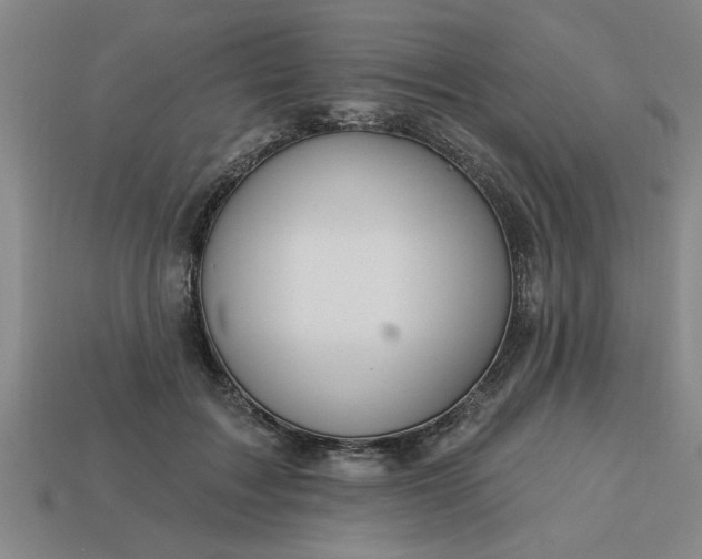 X0000113300603200910051044