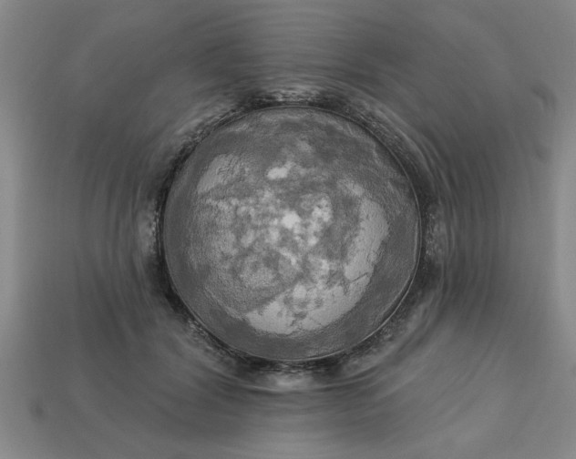 X0000113300604200910051044