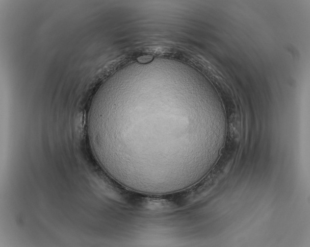 X0000113300605200910051044