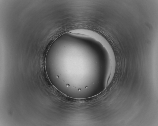 X0000113300609200910051044