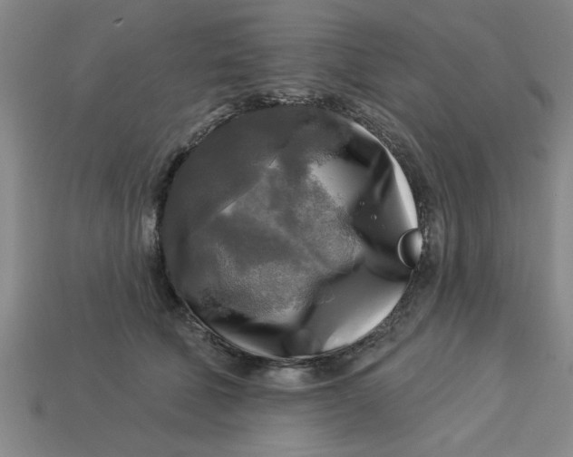 X0000113300610200910051043