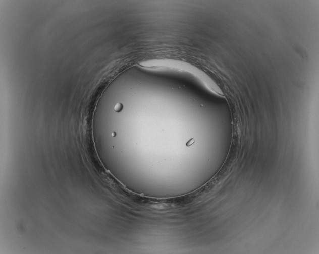 X0000113300611200910051043