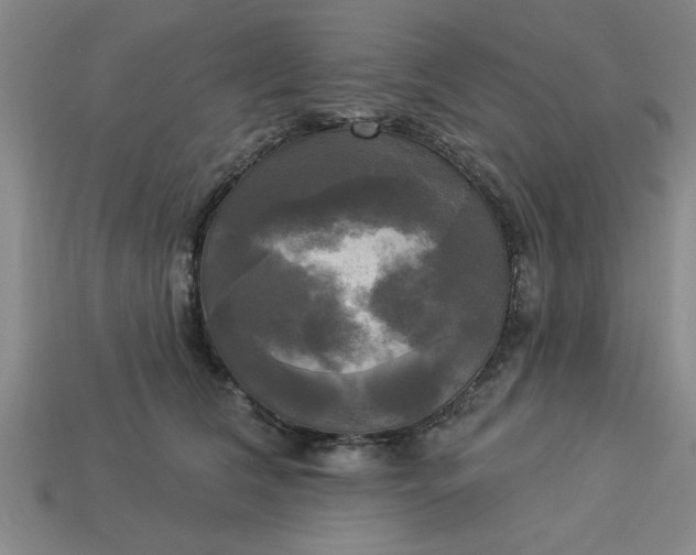 X0000113300612200910051043