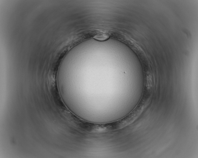 X0000113300613200910051043