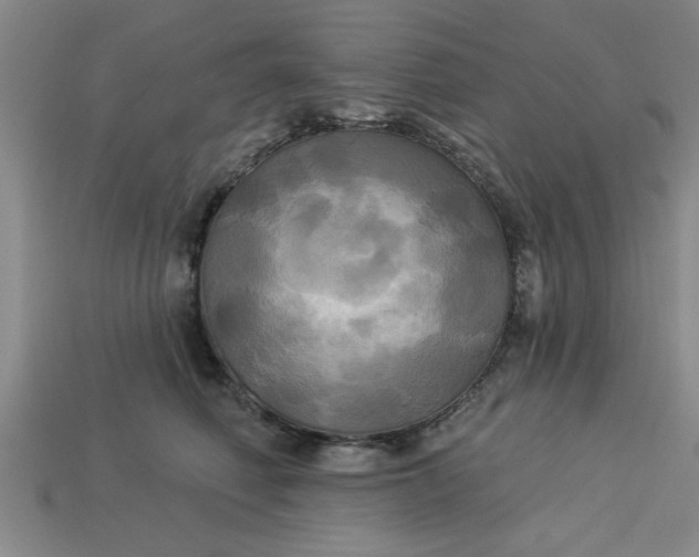 X0000113300614200910051043