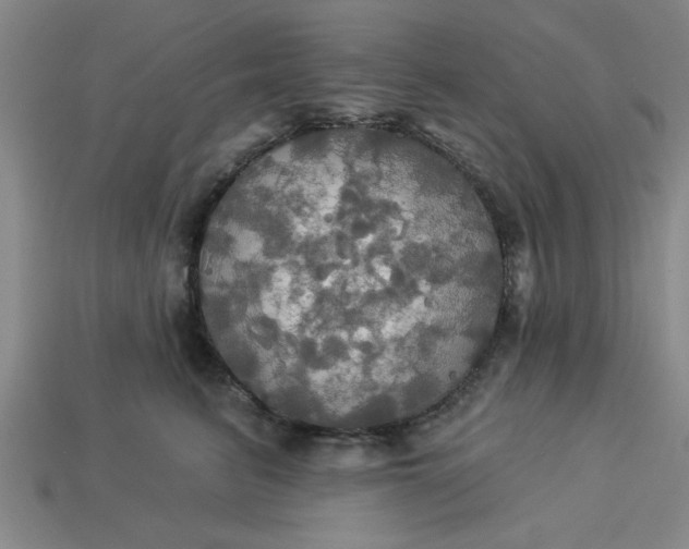 X0000113300615200910051043