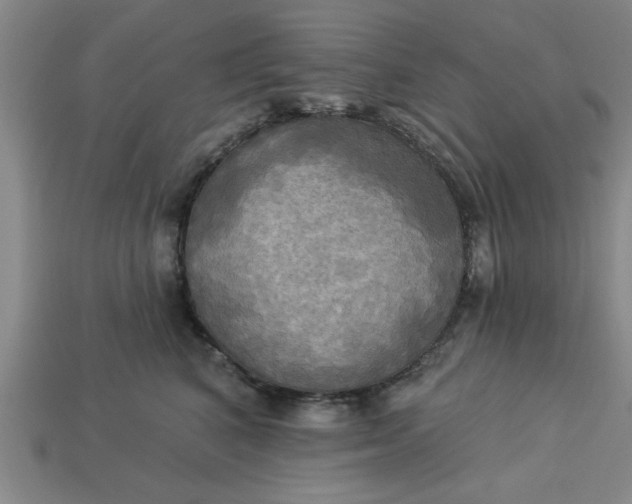 X0000113300616200910051043