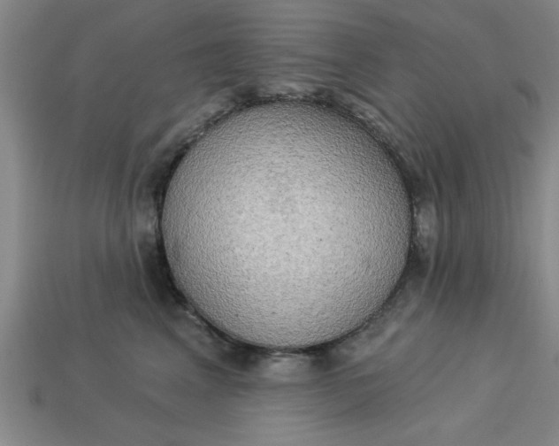 X0000113300617200910051043