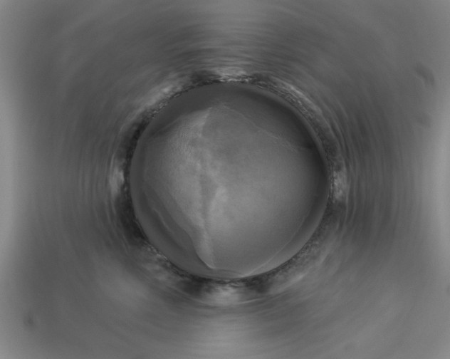 X0000113300618200910051043