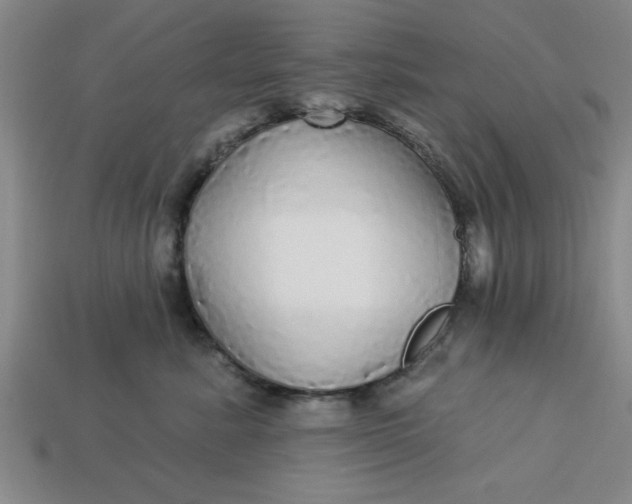 X0000113300619200910051043