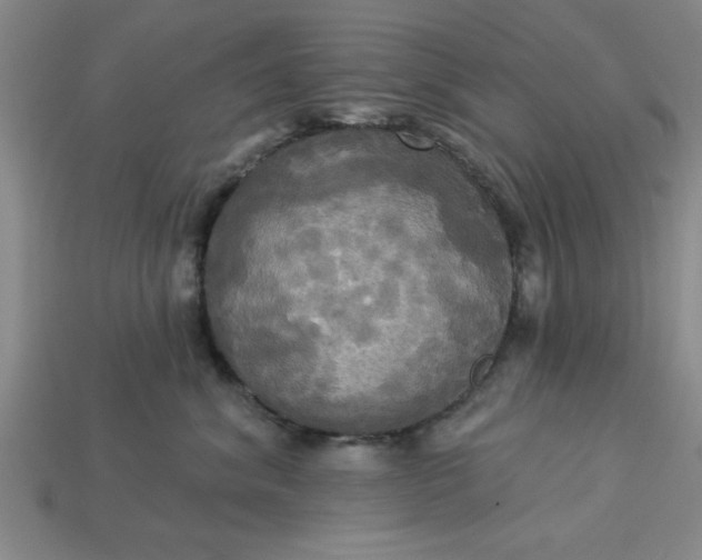 X0000113300620200910051043