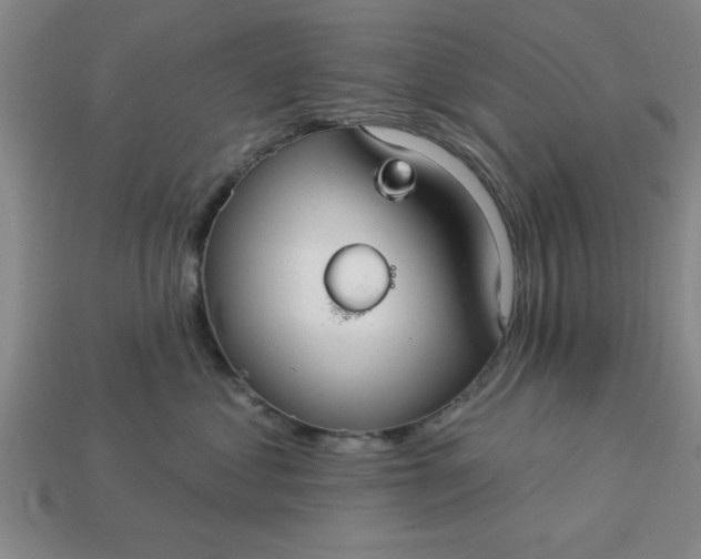 X0000113300621200910051043