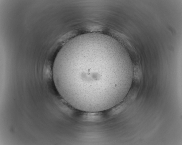 X0000113300622200910051043