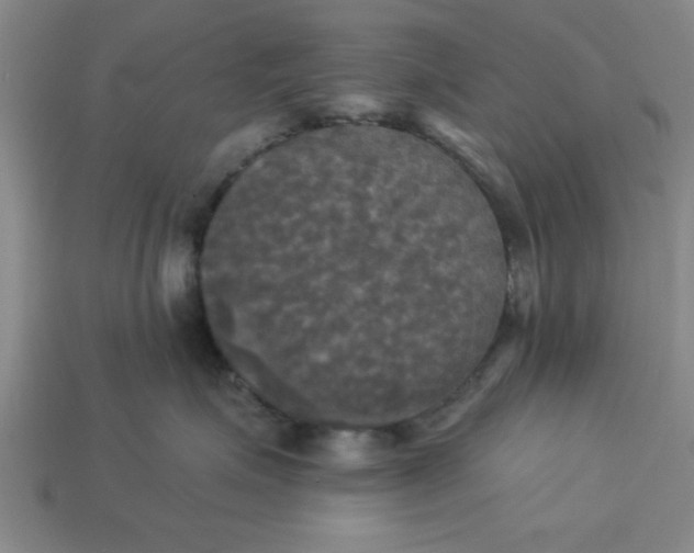 X0000113300623200910051043