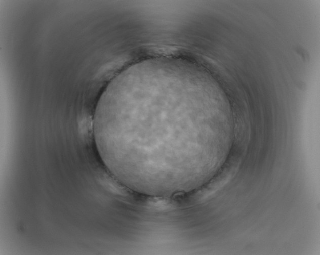 X0000113300624200910051043