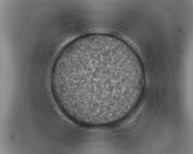 X0000113300625200910051043