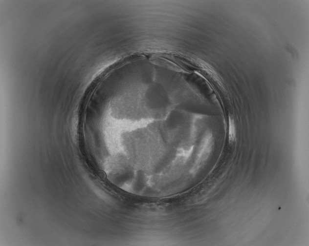 X0000113300627200910051043