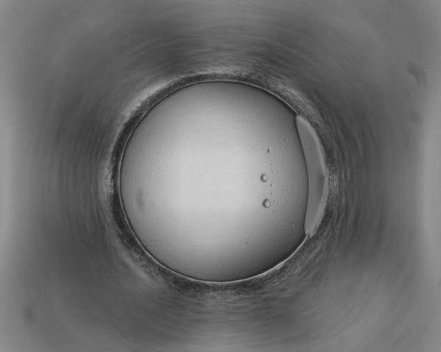 X0000113300628200910051043