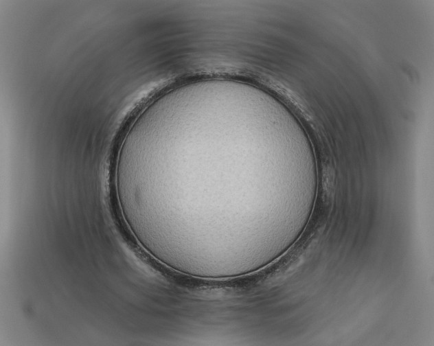 X0000113300629200910051043