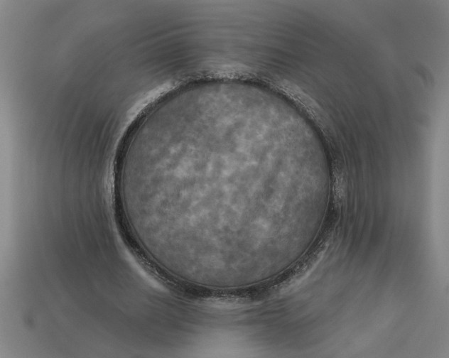 X0000113300630200910051043