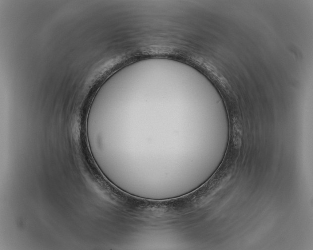 X0000113300631200910051043