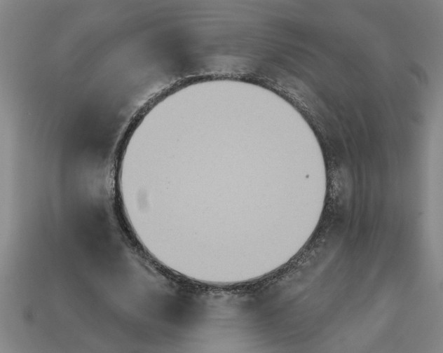 X0000113300632200910051043