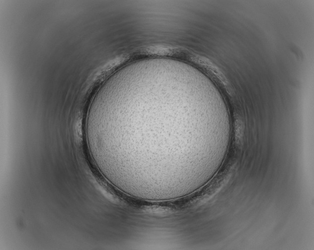 X0000113300633200910051043