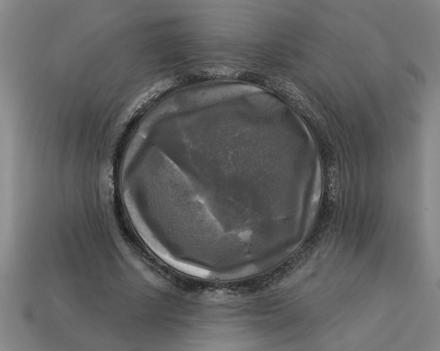 X0000113300634200910051043