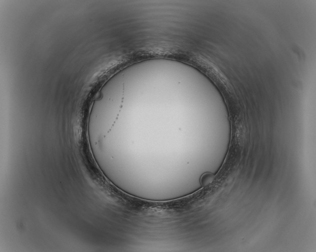 X0000113300635200910051043