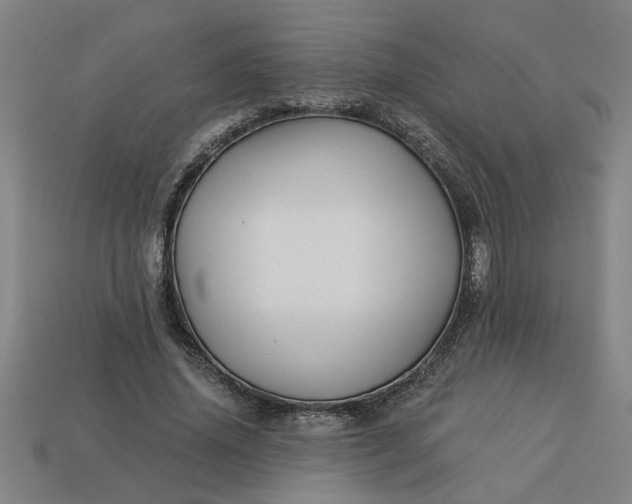 X0000113300636200910051043