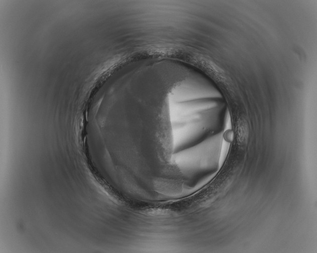 X0000113300637200910051043