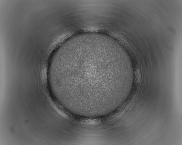 X0000113300638200910051043