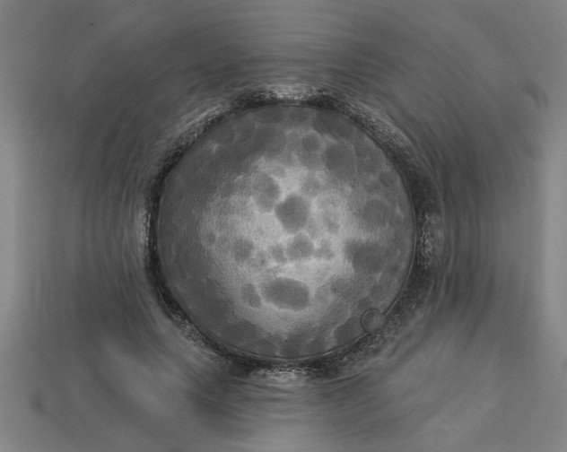 X0000113300639200910051043