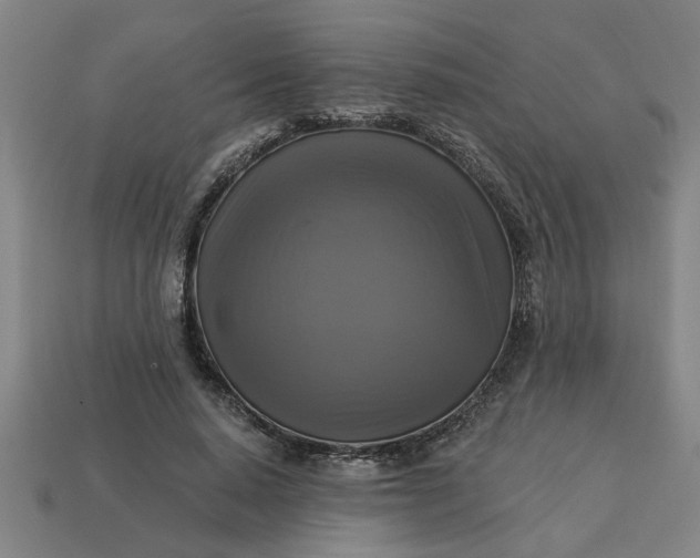 X0000113300640200910051043