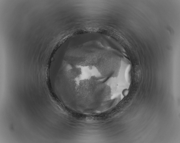 X0000113300641200910051043