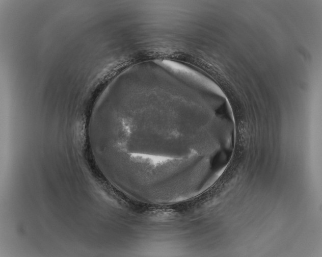 X0000113300642200910051043