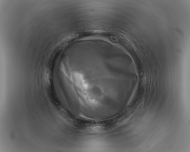 X0000113300643200910051043