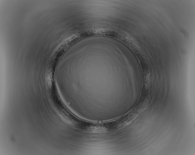 X0000113300644200910051043