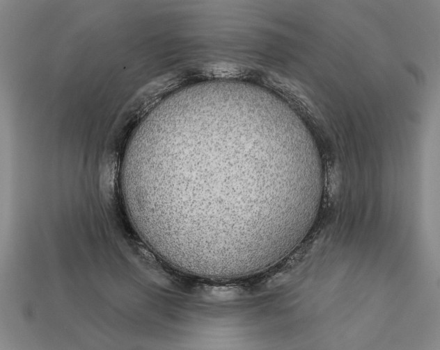 X0000113300645200910051043