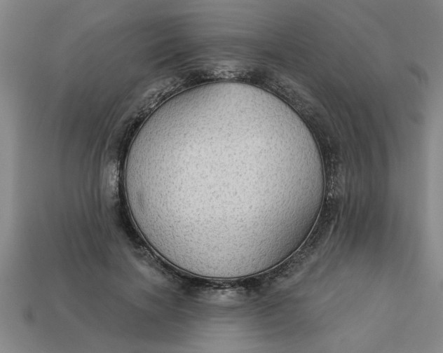 X0000113300646200910051043