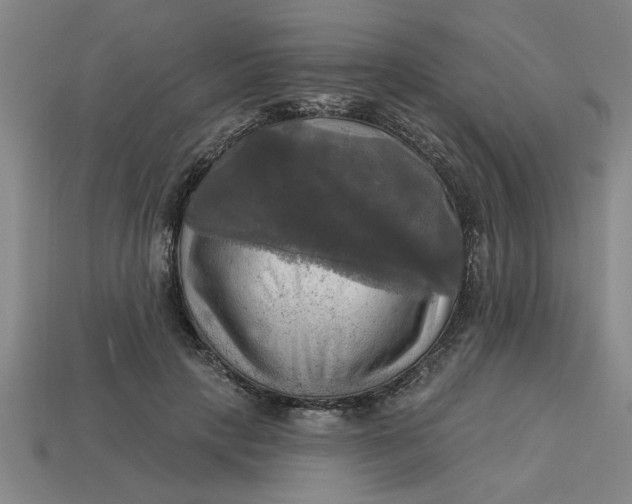 X0000113300649200910051043