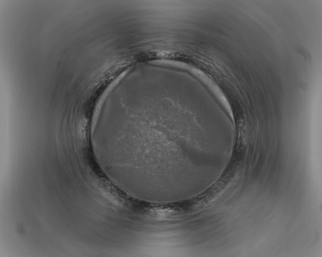 X0000113300650200910051043