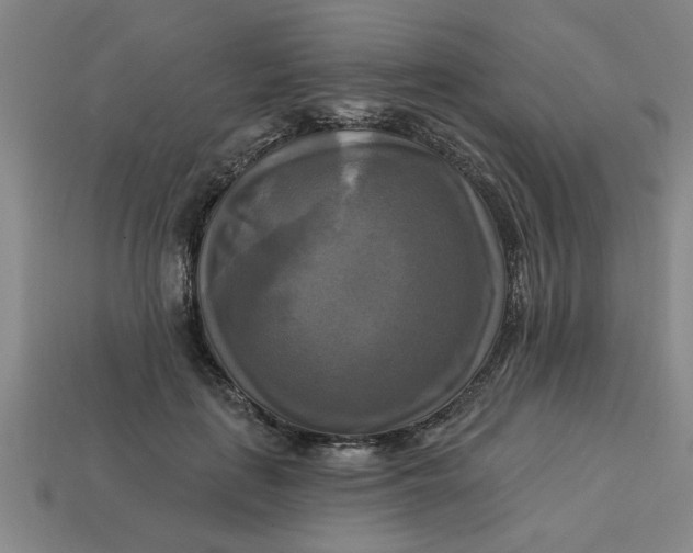 X0000113300651200910051043