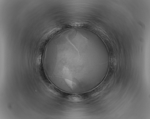 X0000113300652200910051043