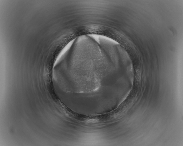 X0000113300653200910051043