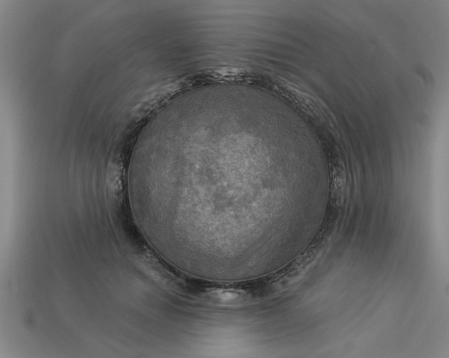 X0000113300654200910051043